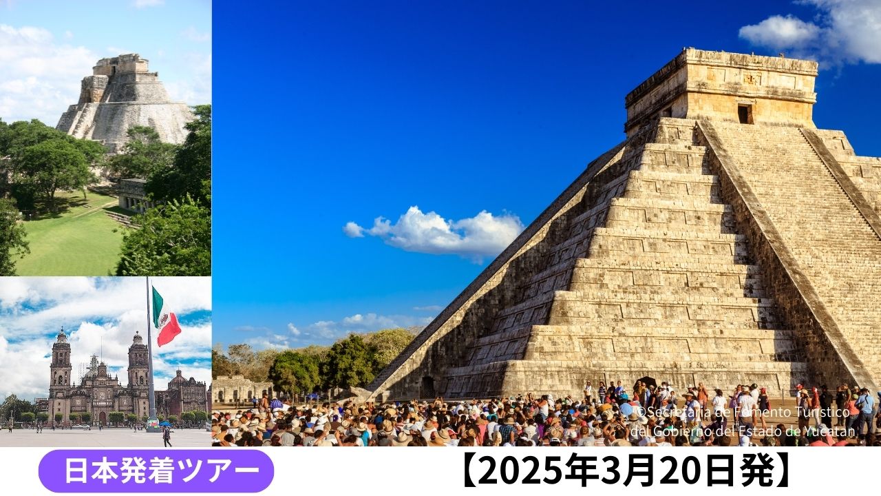 3e683253ce881cbd2130d2e7bf9985