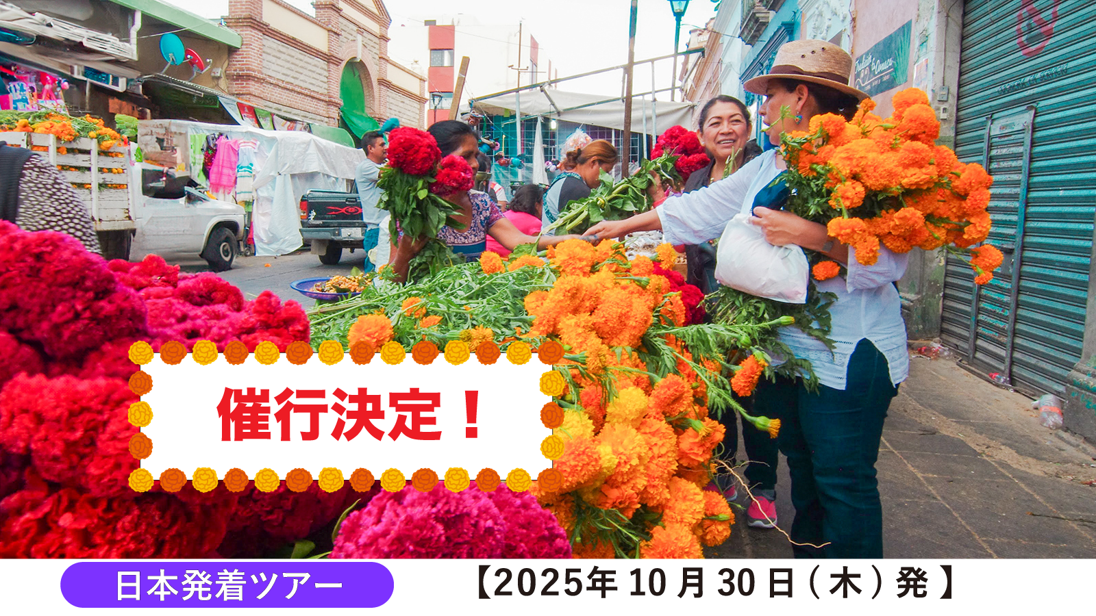 【催行決定しました!】【死者の日 ツアー 2025】マリーゴールドで彩られるカラフルな死者の日のメキシコへ!オアハカ&メキシコシティ7日間